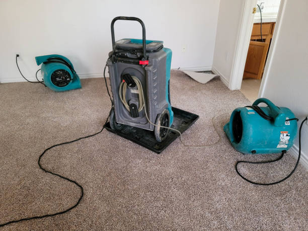 Water damage restoration experts in Mount Healthy Heights, OH