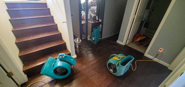 Best Flood restoration services  in Mount Healthy Heights, OH