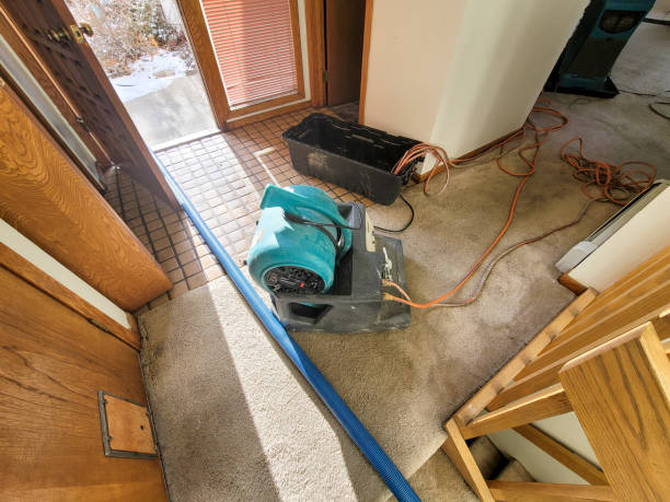 Best Fire Damage Restoration  in Mount Healthy Heights, OH