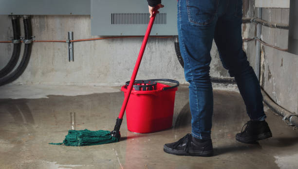Trusted Mount Healthy Heights, OH Water damage restoration Experts