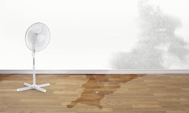 Best Emergency water damage restoration  in Mount Healthy Heights, OH