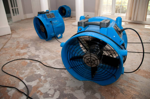 Trusted Mount Healthy Heights, OH Water damage restoration Experts