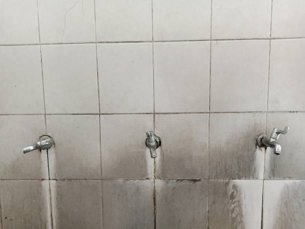 Best Water damage restoration near me  in Mount Healthy Heights, OH