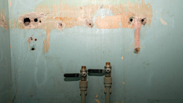 Best Residential water damage restoration  in Mount Healthy Heights, OH
