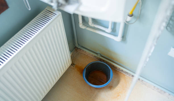 Best Basement water damage restoration  in Mount Healthy Heights, OH