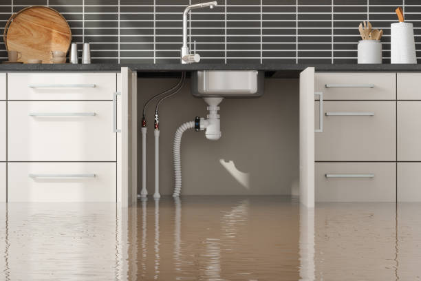 Best 24-hour water damage restoration  in Mount Healthy Heights, OH