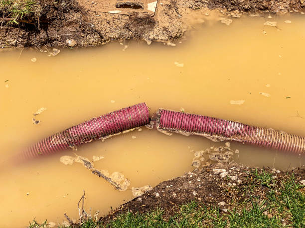 Water damage restoration insurance claims in Mount Healthy Heights, OH