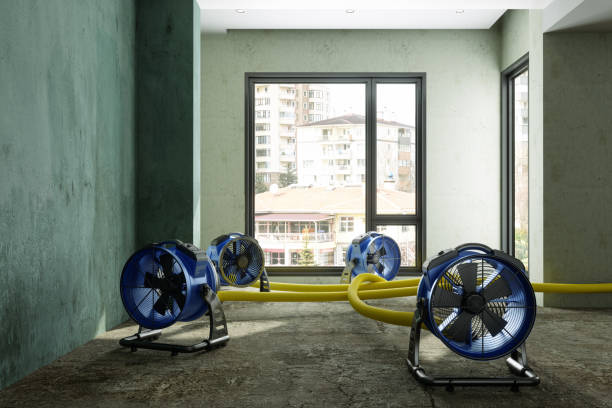 Best Sewage cleanup and water damage restoration  in Mount Healthy Heights, OH