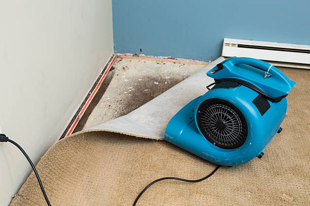 Best Water damage cleanup near me  in Mount Healthy Heights, OH